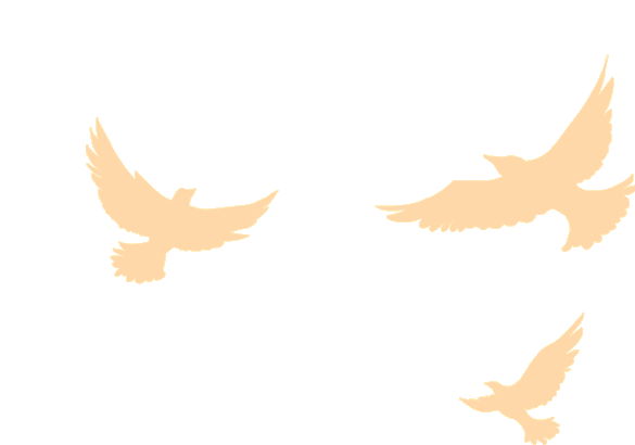 筑梦启程|珠海yth2206游艇会2025迎新晚会暨2024年度表彰大会 筑梦启程|珠海yth2206游艇会2025迎新晚会暨2024年度表彰大会