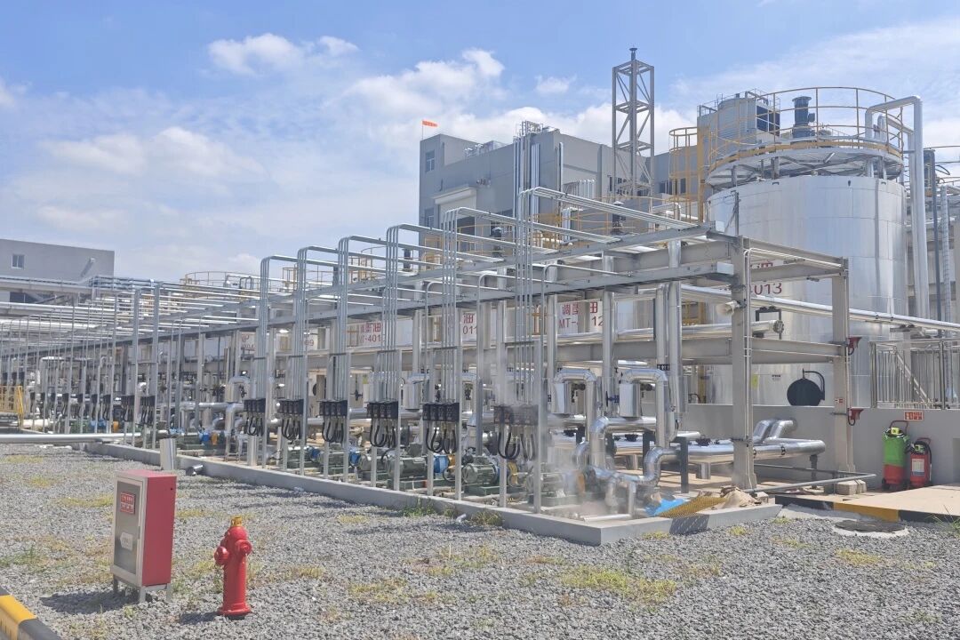 实力见证！yth2206游艇会FA项目团队再获迪爱生中日双方高度认可