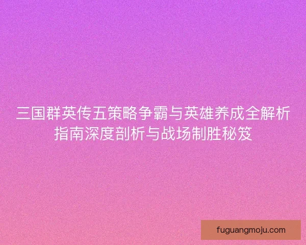 三国群英传五策略争霸与英雄养成全解析指南深度剖析与战场制胜秘笈