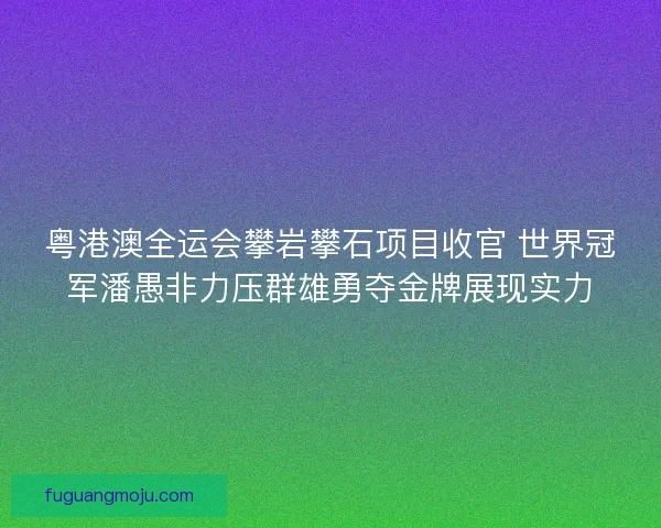 粤港澳全运会攀岩攀石项目收官 世界冠军潘愚非力压群雄勇夺金牌展现实力